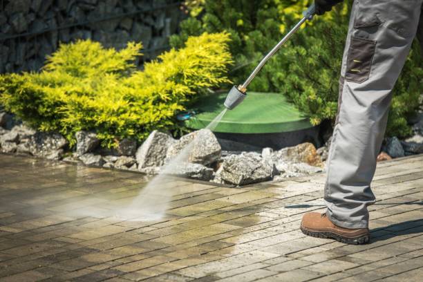 Trusted Brownsboro, TX Pressure Washing Services Experts